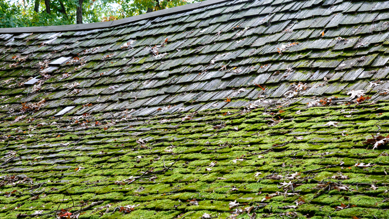 How to Know When It’s Time to Replace Your Roof: A Homeowner’s Guide